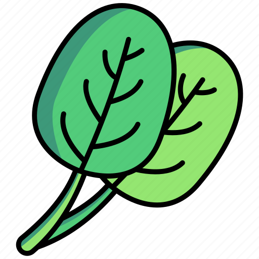 Spinach, vegetables, food icon - Download on Iconfinder