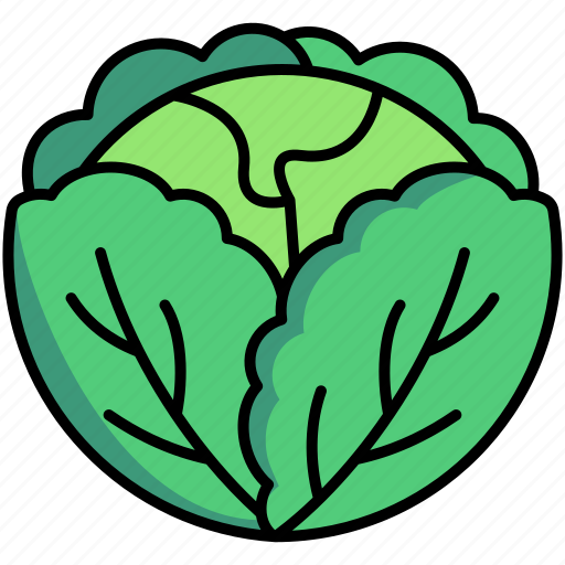Cabbage, cauliflower, vegetable icon - Download on Iconfinder