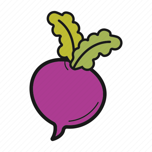 Radish, root-crop, turnip, vegetable icon - Download on Iconfinder