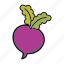 radish, root-crop, turnip, vegetable 