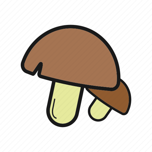 Boletus, champignon, mushrooms, porcini icon - Download on Iconfinder