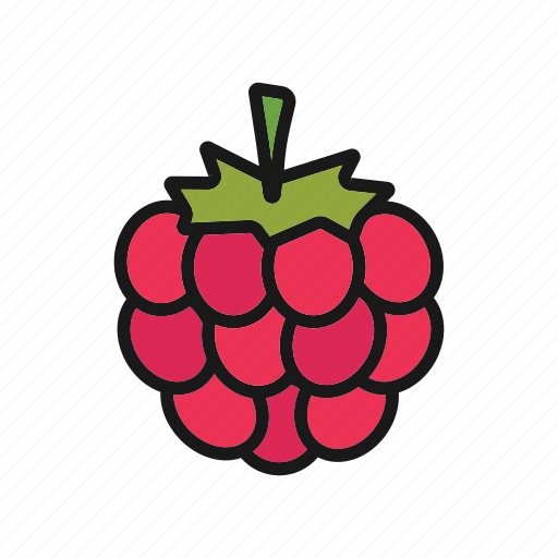 Berry, blackberry, bramble, dewberry, raspberry icon - Download on Iconfinder