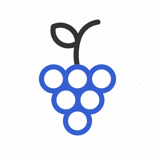 Grapes, fruit, healthy, grape, food, bunch of grapes, vegetable icon - Download on Iconfinder