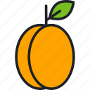 apricot, fruit, food, healthy, organic
