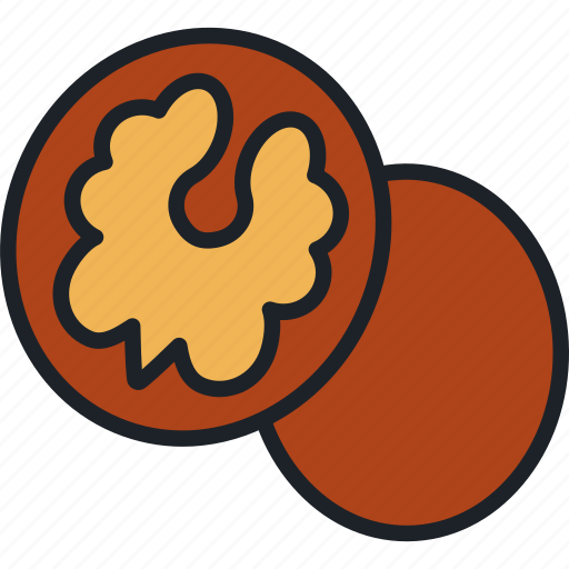 Walnut, nuts, healthy, food, snack, nut icon - Download on Iconfinder