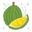durian, fruit, fruits 