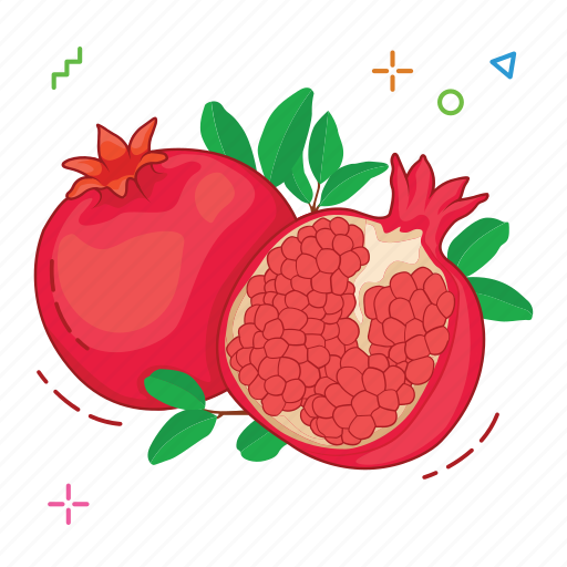 Fruit, fruits, pomegranate icon - Download on Iconfinder