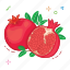 fruit, fruits, pomegranate 
