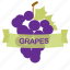 fruit, grapes 
