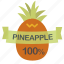 fruit, pineapple 