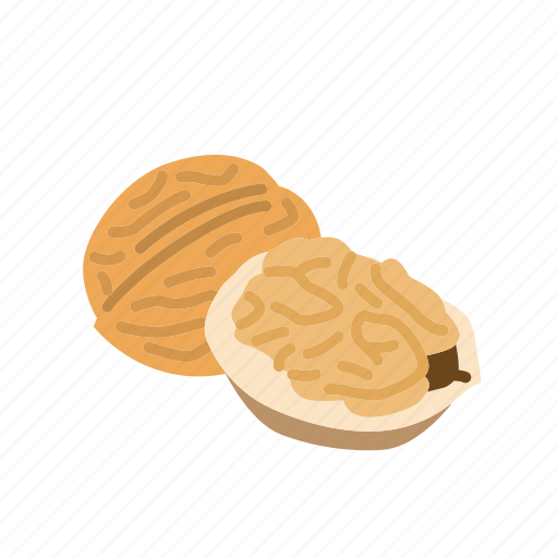 Food, kernel, nut, nut shell, nuts, walnut icon - Download on Iconfinder