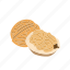 food, kernel, nut, nut shell, nuts, walnut 