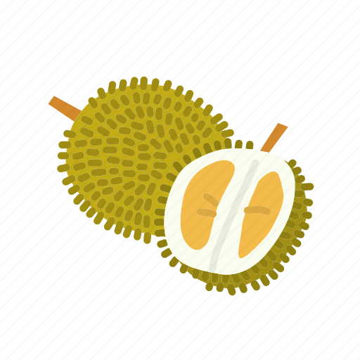 Durian, farm, food, fruit, nature, organic icon - Download on Iconfinder