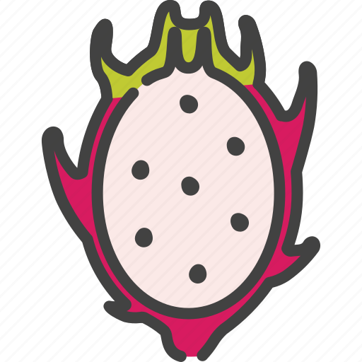 Berry, dragonfruit, food, fruit, healthy, pitahaya, vegetarian icon - Download on Iconfinder