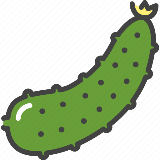Cucumber, food, healthy, vegetable, vegetarian icon - Download on Iconfinder