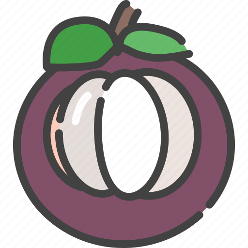 Berry, food, fruit, healthy, mangosteen, vegetable icon - Download on Iconfinder