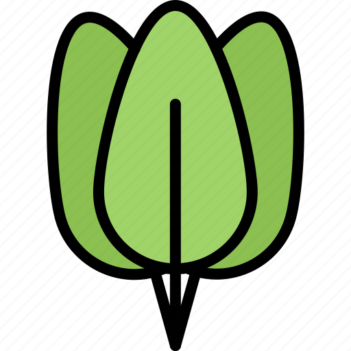 Food, leaf, shop, spinach, supermarket, vegetable, vegetables icon - Download on Iconfinder