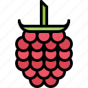 food, fruit, fruits, raspberries, shop, supermarket