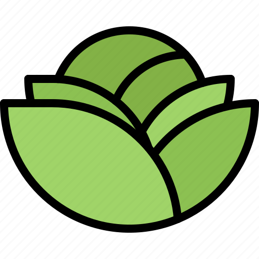 Cabbage, food, shop, supermarket, vegetable, vegetables icon - Download on Iconfinder