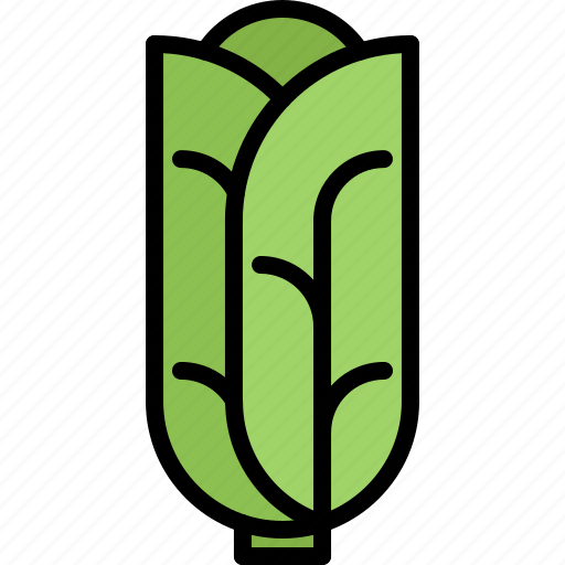 Cabbage, food, salad, shop, supermarket, vegetable, vegetables icon - Download on Iconfinder