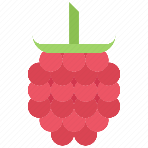 Food, fruit, fruits, raspberries, shop, supermarket icon - Download on Iconfinder