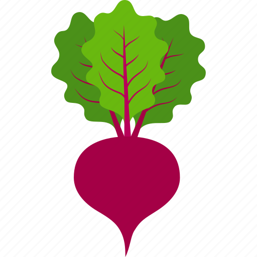 Beet, beetroot, beets, leaves, sugar, vegetable, radish icon - Download on Iconfinder