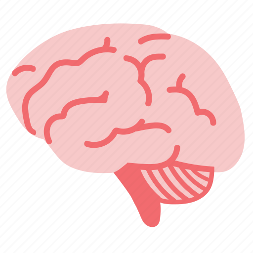 Body, brain, correct, knowledge, mind, organ, think icon - Download on Iconfinder