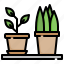 plants, flower, pot, natu 