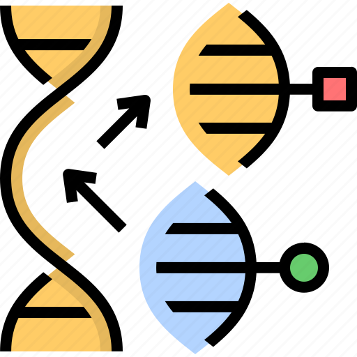 Gene, editing, replace, dna, genetic, engineering, biotechnology icon - Download on Iconfinder