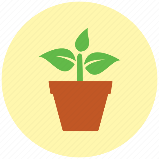 Garden, gardening, ecology, germ, growth, growing, plant pot icon - Download on Iconfinder