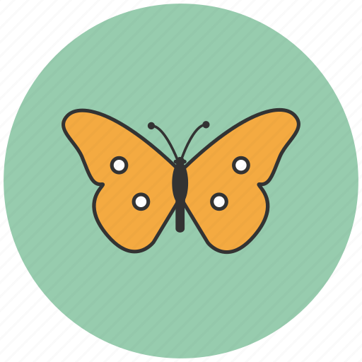Butterfly, flower, nature, ecology icon - Download on Iconfinder
