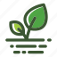 green, leaf, plant, pot 