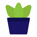 plant, 2