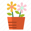decoration, flower, flowerpot, nature, plant