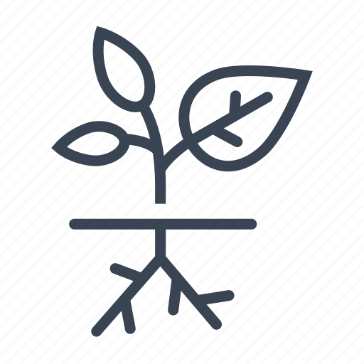 Plant, root, roots, sapling, young icon - Download on Iconfinder