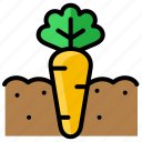 gardening, carrots, vegetable, farm, harvest