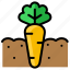 gardening, carrots, vegetable, farm, harvest 