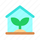 greenhouse, glasshouse, plant, seedling, sprout, gardening, botany