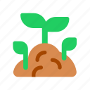 sprout, seed, soil, plant, ground, shoot, gardening