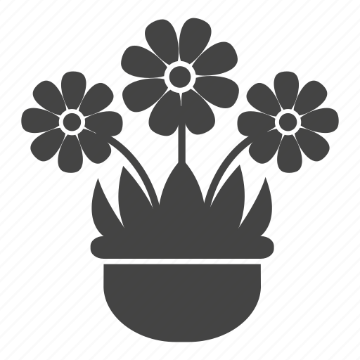Blossom, daisy, flowers, garden, leaves, nature, pot icon - Download on Iconfinder