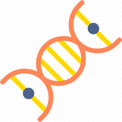 Dna, structure, education, genetically, biology icon - Download on Iconfinder