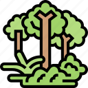 tree, forest, nature, plant, environment