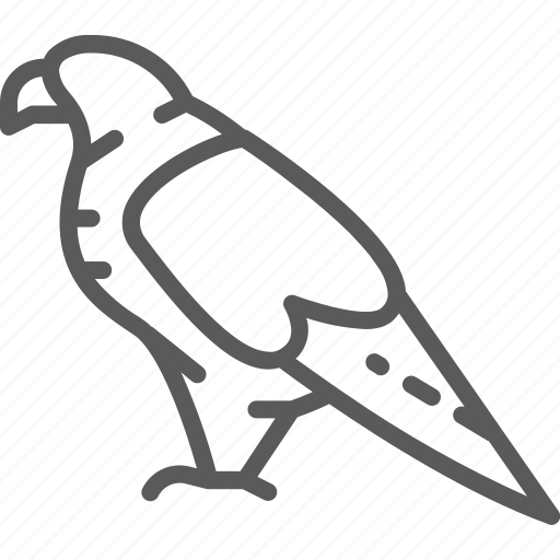 Animal, bird, eagle, georgia, georgian, nature, wild icon - Download on Iconfinder