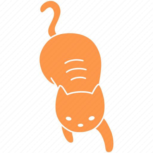 Cat, cute, feline, ginger, meow, pet, play icon - Download on Iconfinder