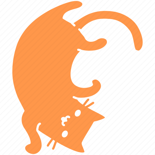 Belly, cat, cute, feline, ginger, meow, pet icon - Download on Iconfinder