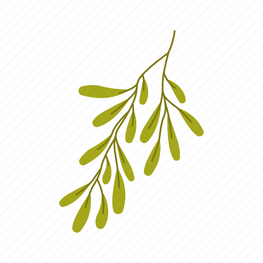 Olive, oil, flat, icon, canned, jar, vegetable icon - Download on Iconfinder