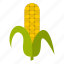 corn, corncob, gmo, maize, modified, organic, vegetarian 