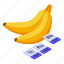 gmo, bananas, isometric 