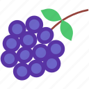 blackberry, berry, grape, fruit, fruits, fresh, food, organic