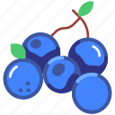 blueberry, blueberries, berry, fruit, fruits, fresh, food, organic